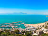 Explore Tunisia: Customized Tours of Carthage, Tunis, Kairouan, and Historical Sites